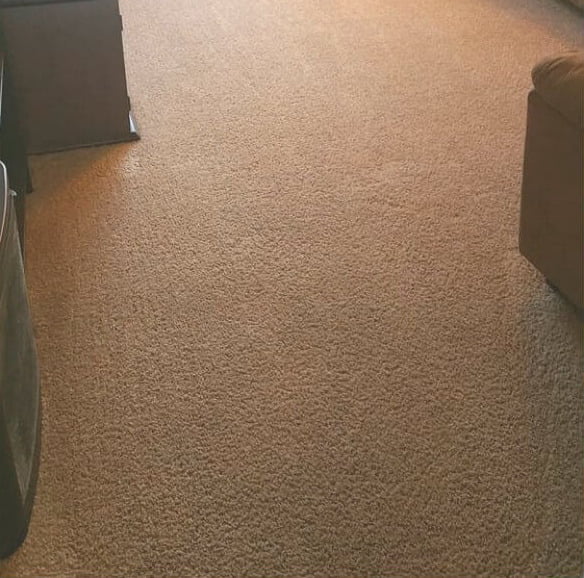 家居地毯清潔及殺菌消毒服務2