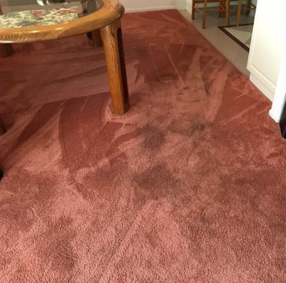 家居地毯清潔及殺菌消毒服務3