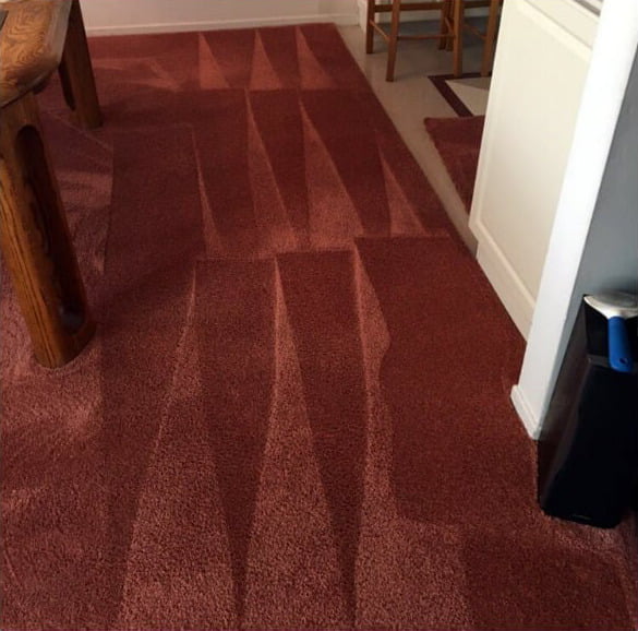 家居地毯清潔及殺菌消毒服務4