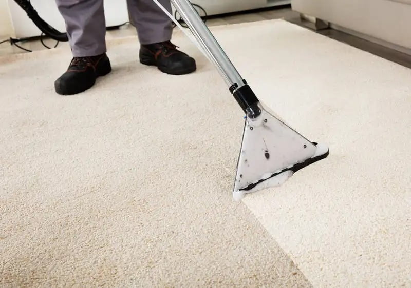 一個清潔公司員工正在進行洗地毯服務。