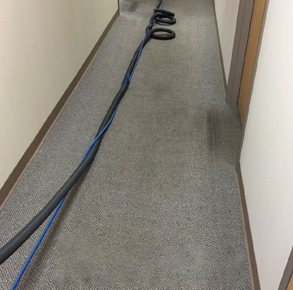 辦公室地毯清潔及殺菌消毒服務3